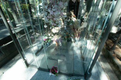 IMG_1026.jpg